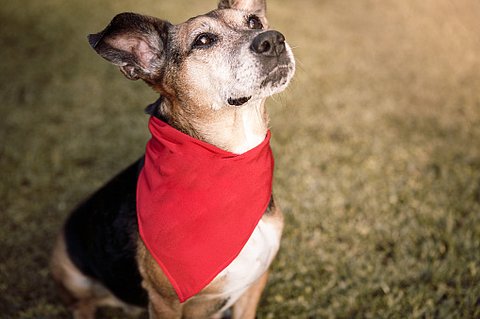 istockphoto-1058402870-170667a